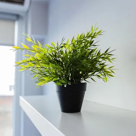 Apartament Modiano Center-your Urban *